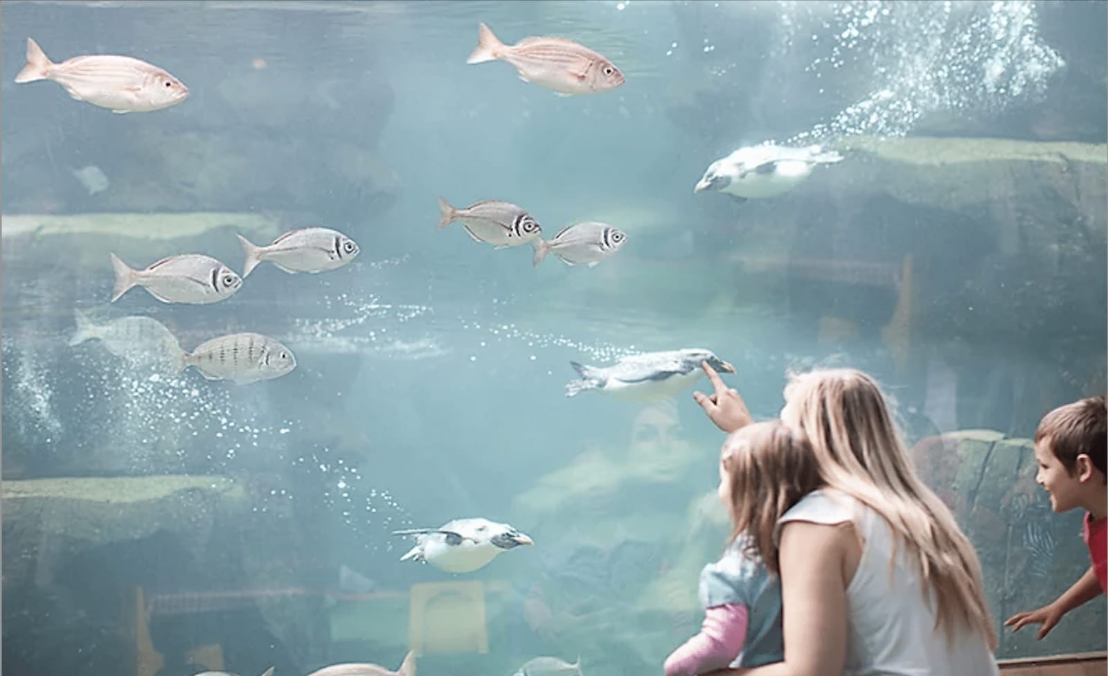 Der Köder muss dem Fisch schmecken. Oder: Erfolgsfaktor Sourcing Strategie