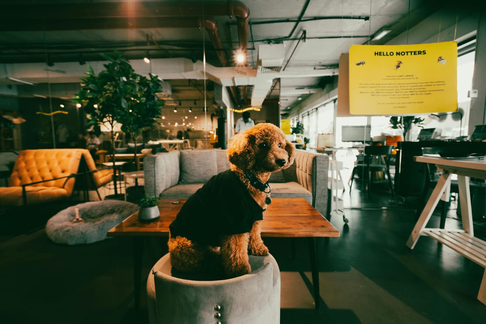 New Work: Die Revolution der Arbeitswelt – Mythos, Fluch oder Segen?
