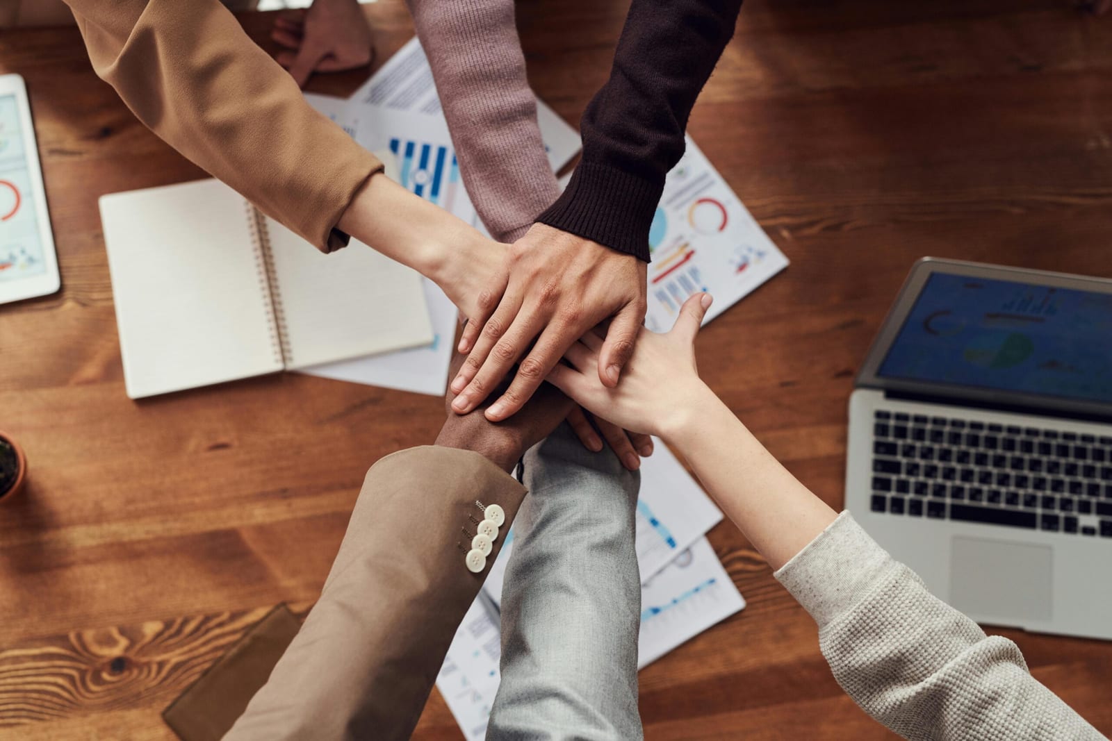 Warum Teams stagnieren – und was erfolgreiche Teamarbeit wirklich ausmacht