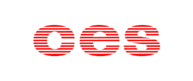 ces complete electronic systems ag